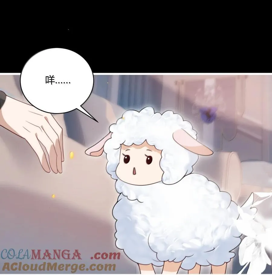 134 番外篇03咩咩太可爱了22