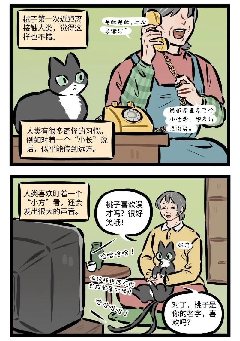 第928话 收养2