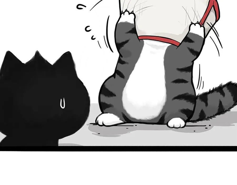 第451话 越养越像47