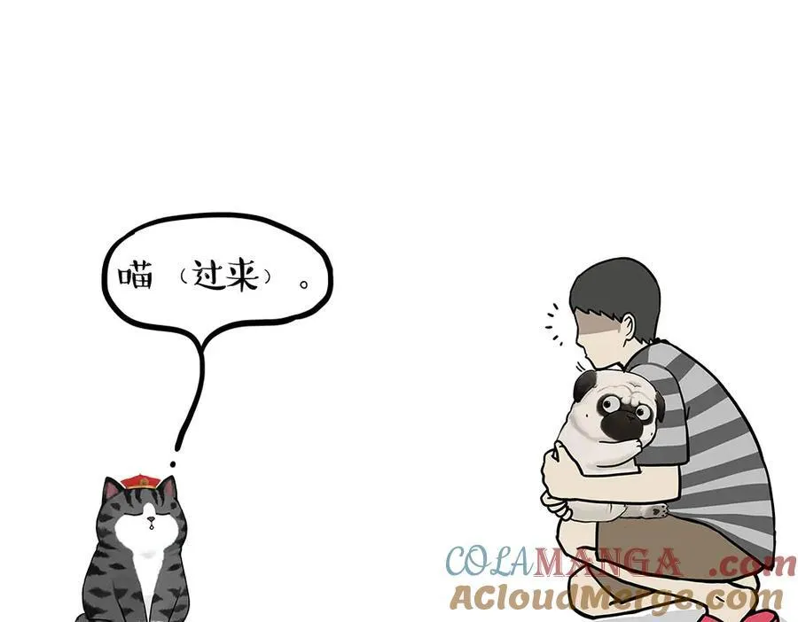第450话 黑黑过来！4