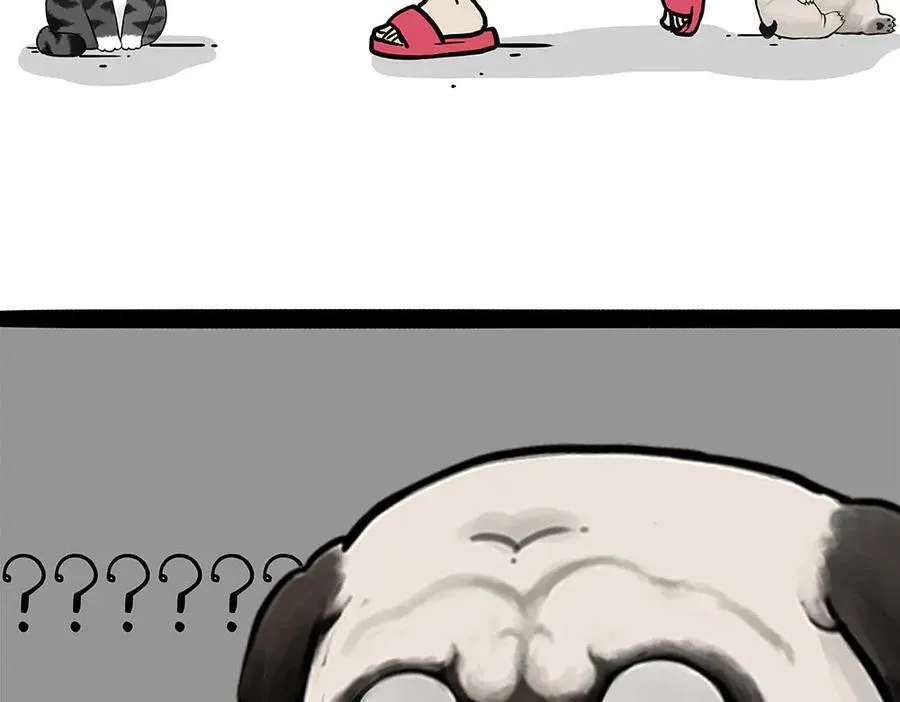 第450话 黑黑过来！7