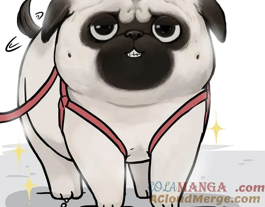 第450话 黑黑过来！20