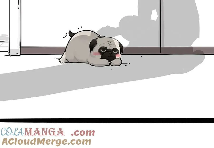 第450话 黑黑过来！12