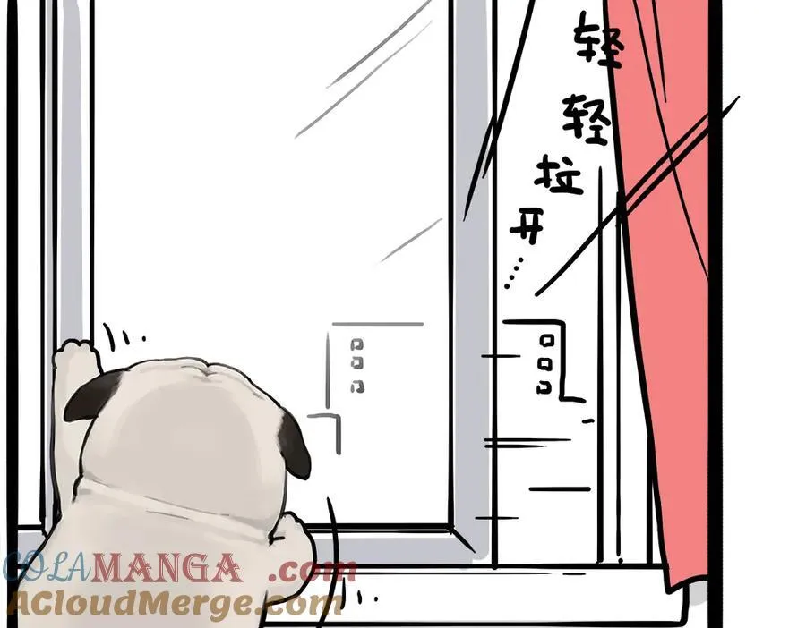 第450话 黑黑过来！38