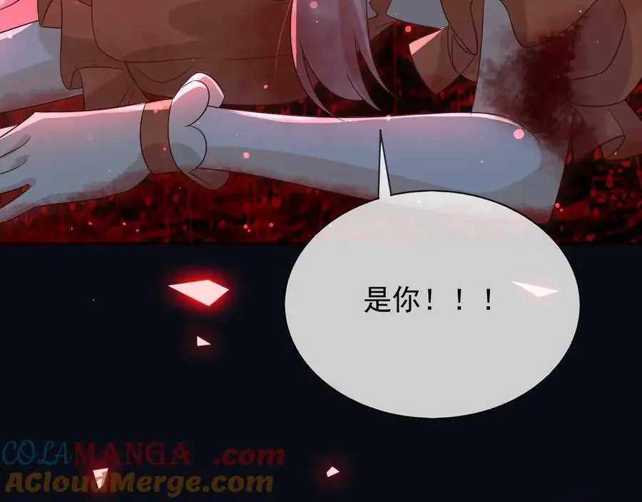 141 是苏缇48