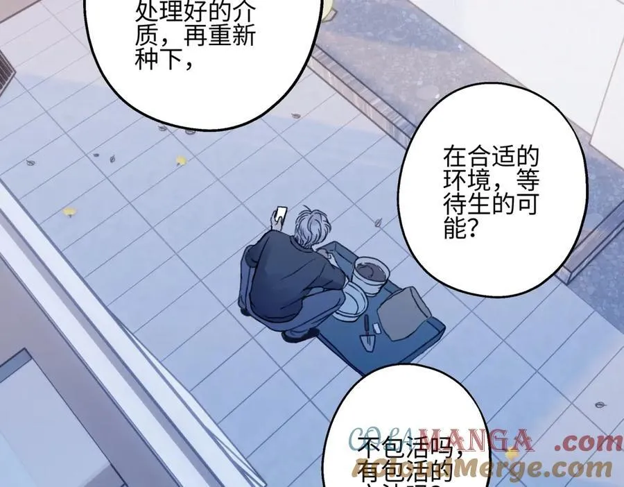 90 猴子与月76