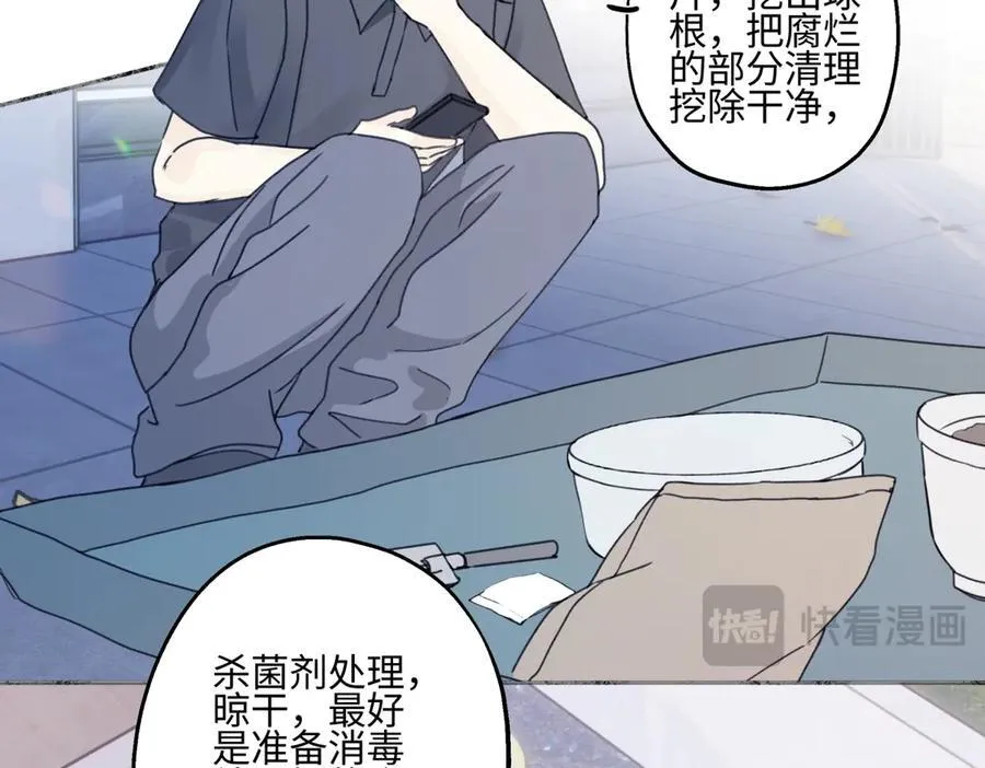 90 猴子与月75