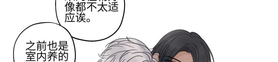 89 孤独星球19
