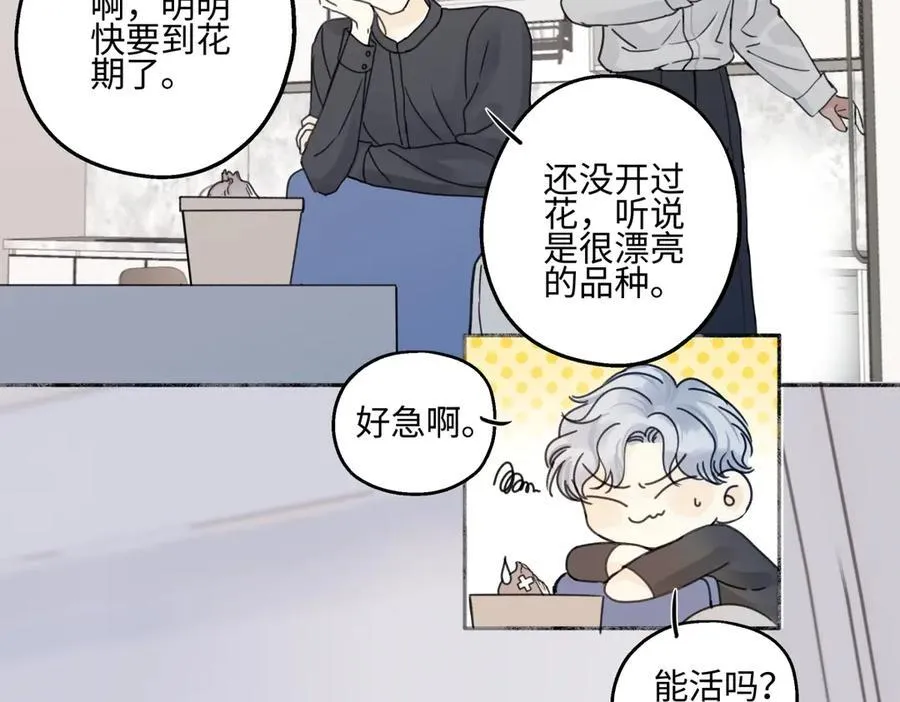 90 猴子与月79