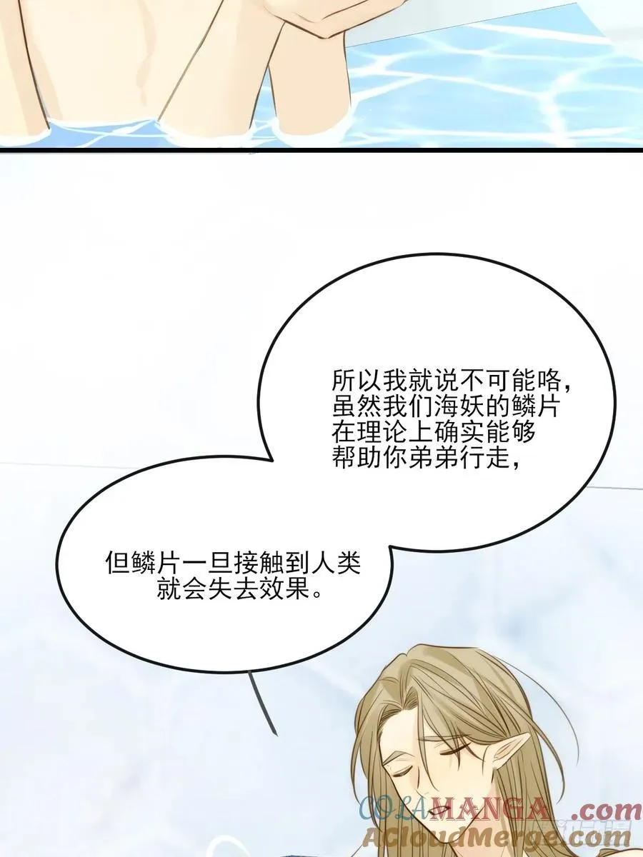鳞片的秘密16
