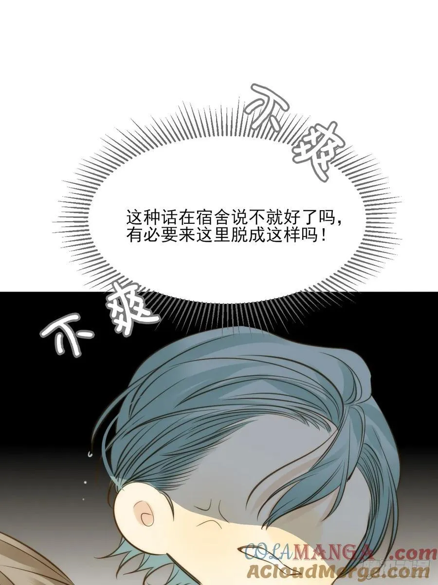 鳞片的秘密20
