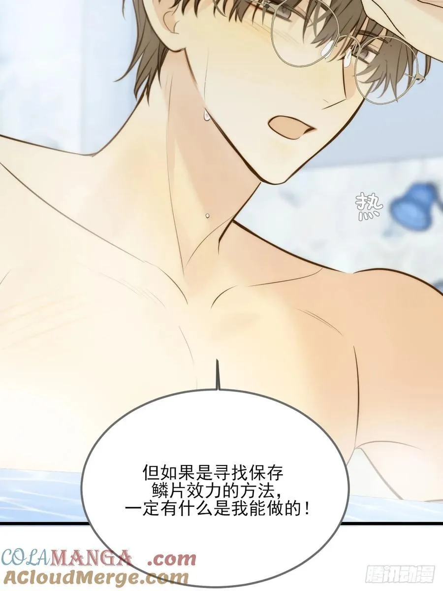 鳞片的秘密26