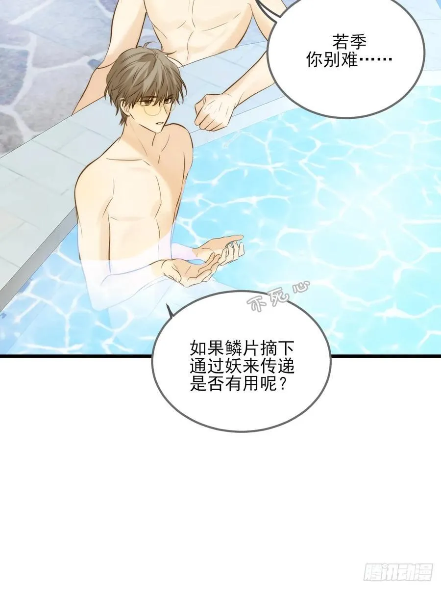 鳞片的秘密23