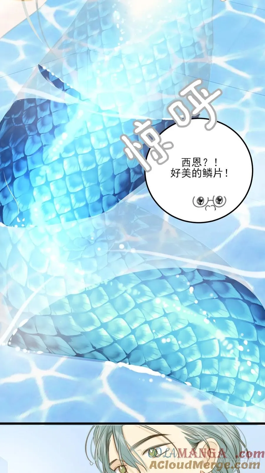 大饱眼福26