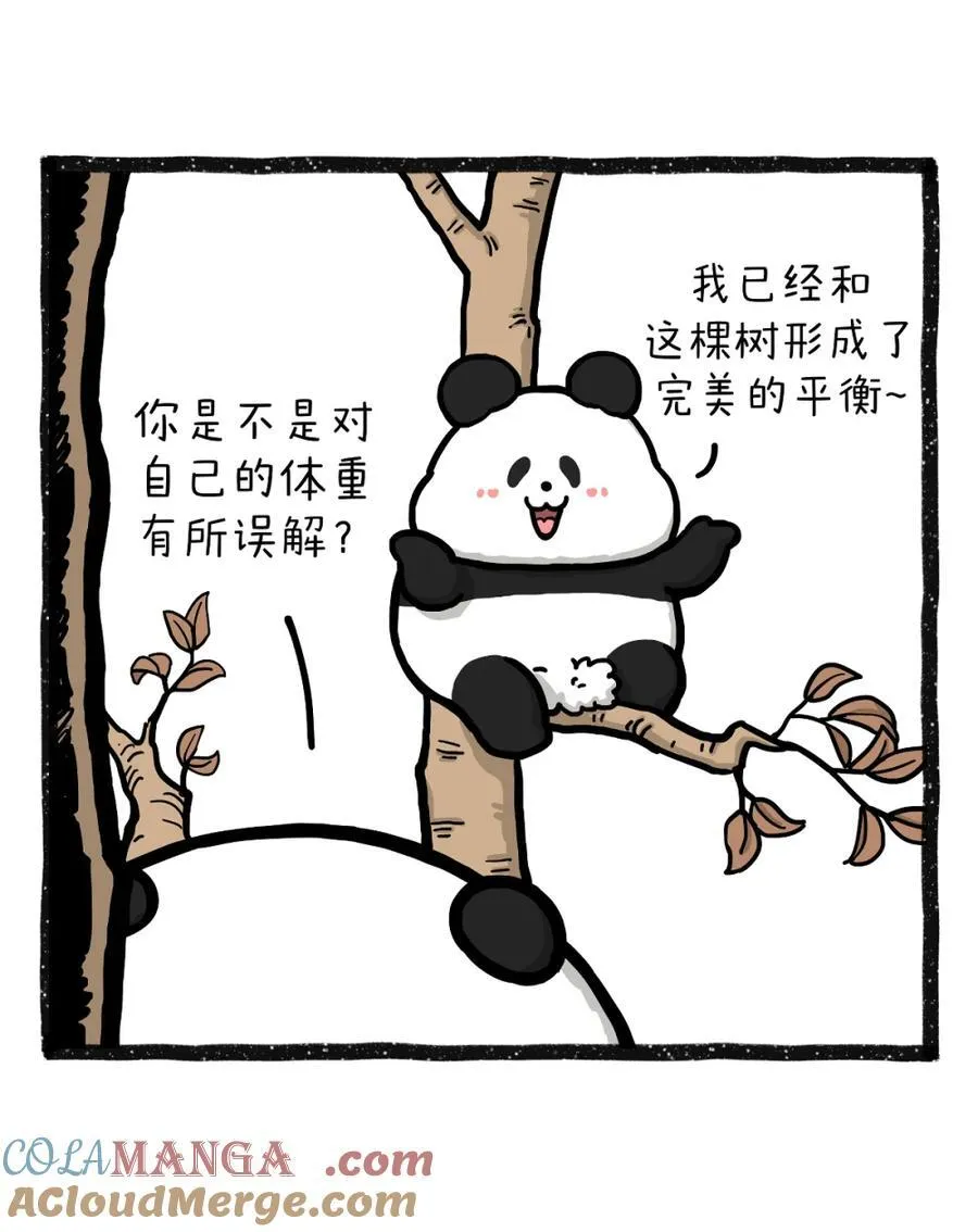 465 念旧不守旧，看我零零后~8