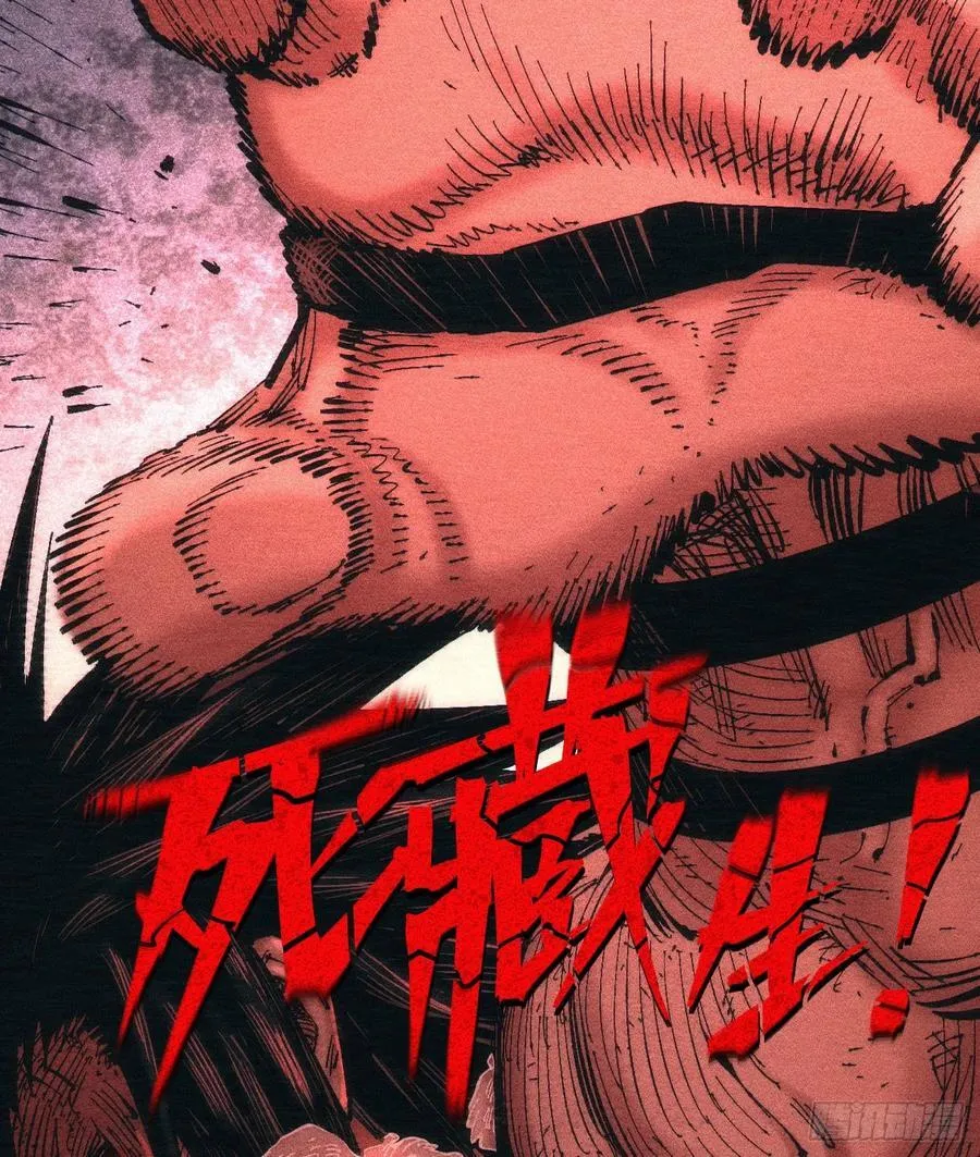 死藏生！来！85