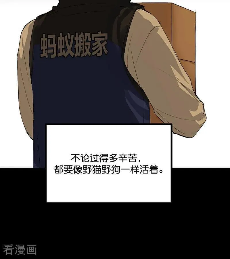 第43话 音乐之神13