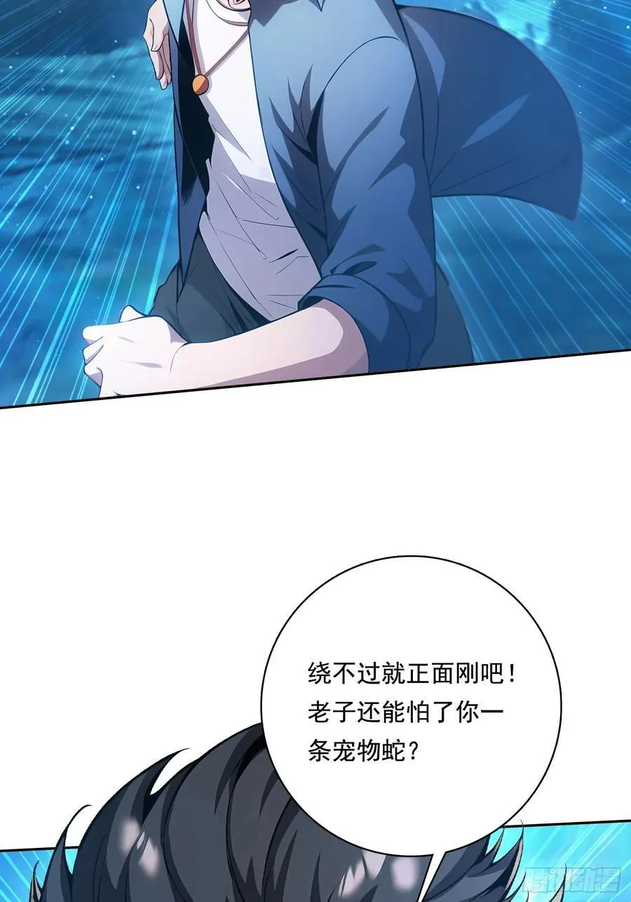 115宠物蛇？47