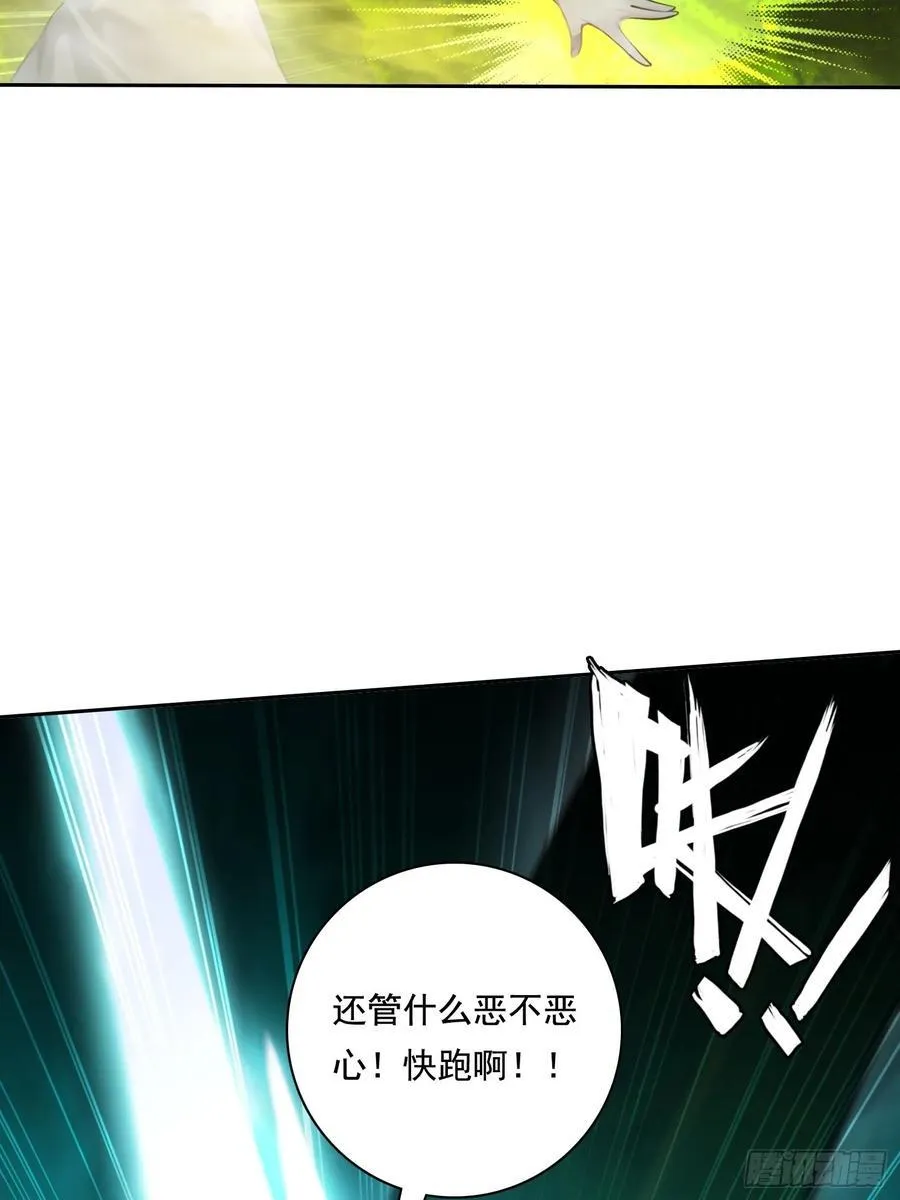115宠物蛇？41