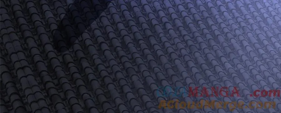 217 雷劫33