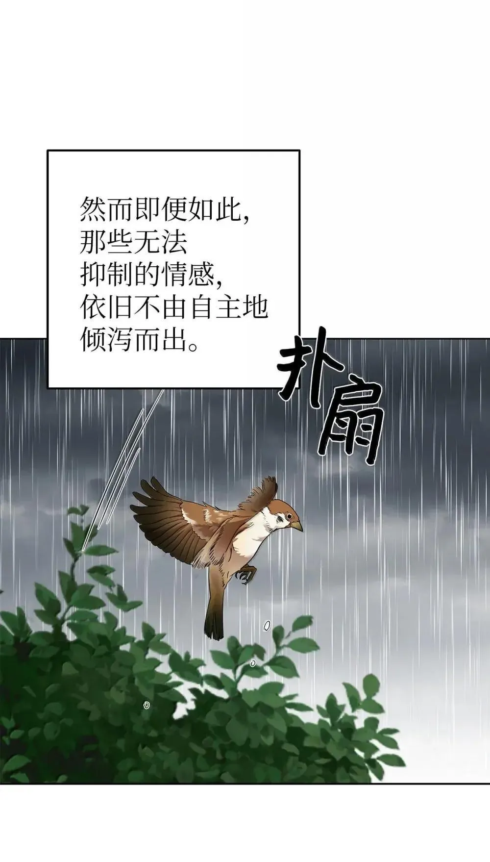 64 雨中告白60