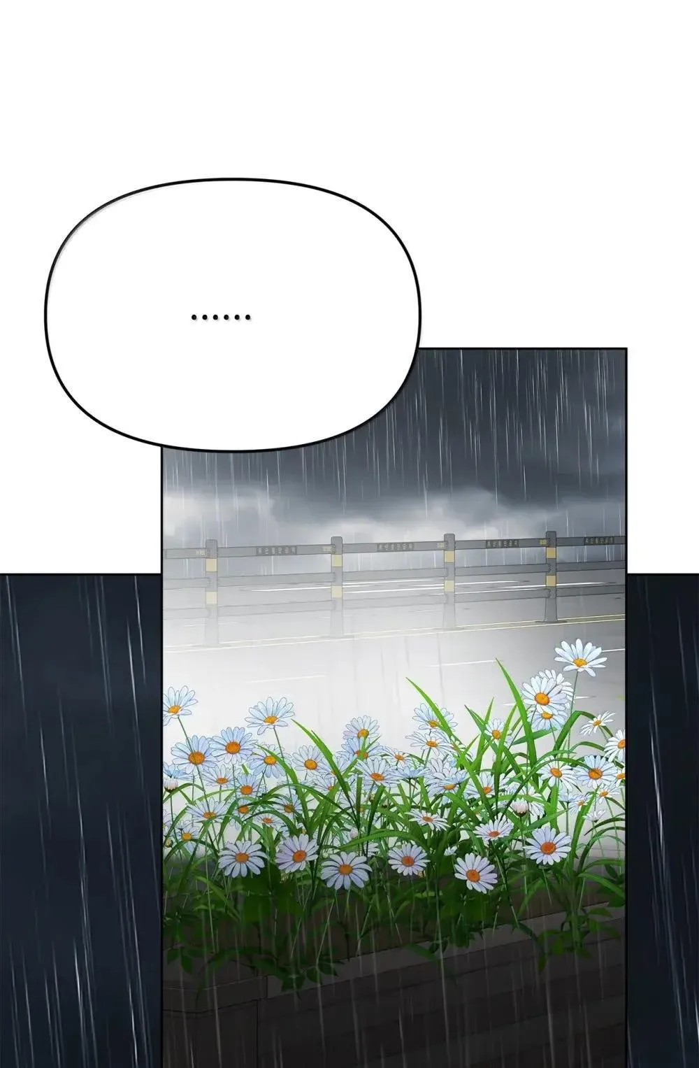64 雨中告白47