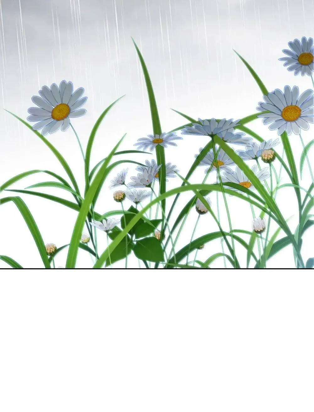 64 雨中告白49