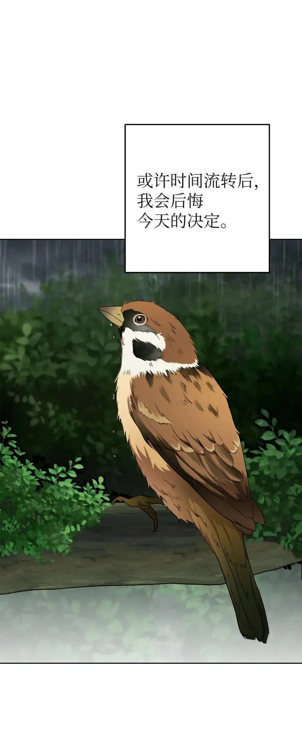 64 雨中告白59