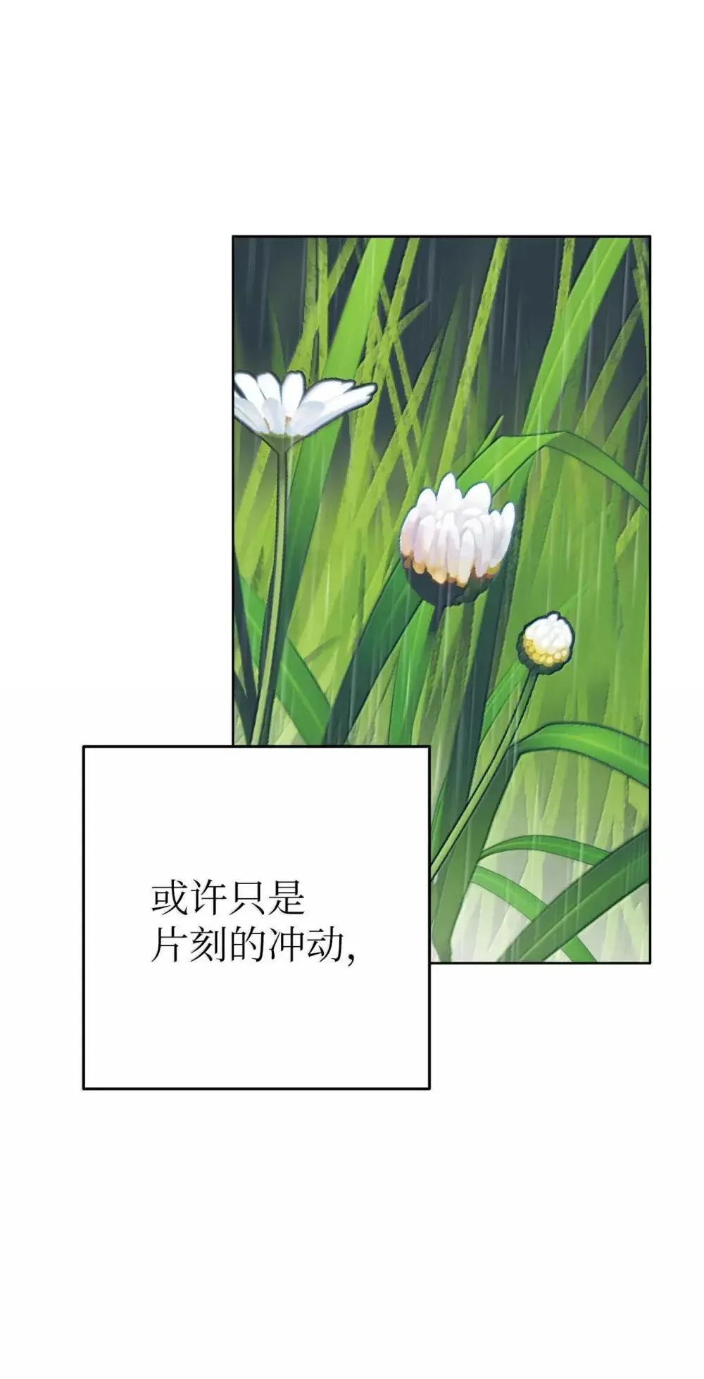 64 雨中告白58