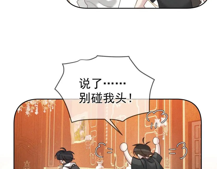 第188话：小少爷的生日46