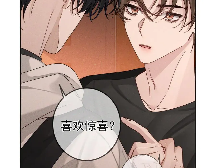 第188话：小少爷的生日29