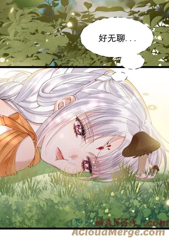 043 遇袭生变28