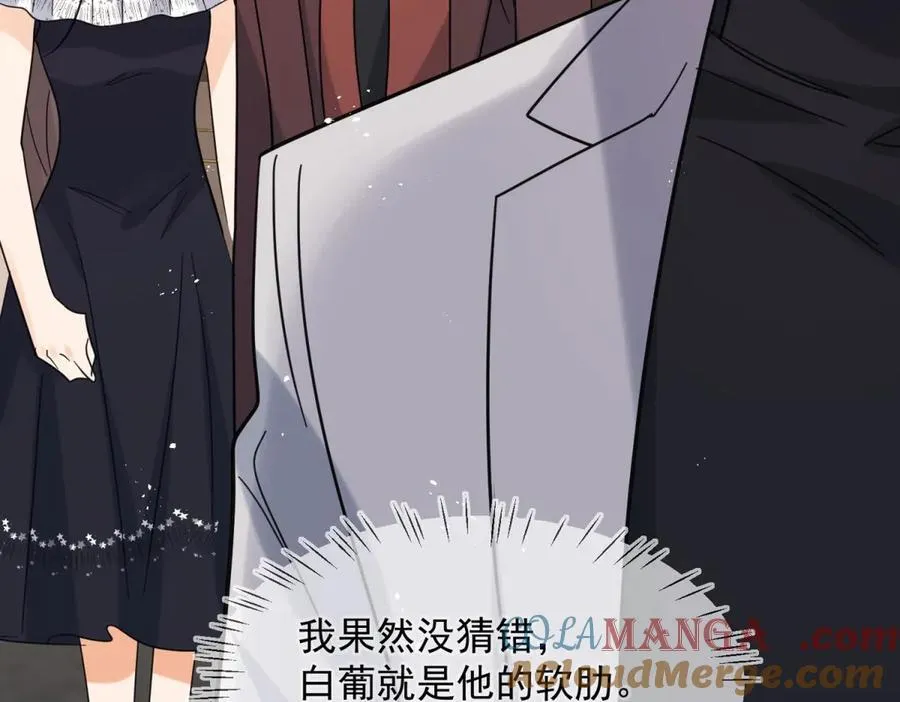第104话 他的软肋93