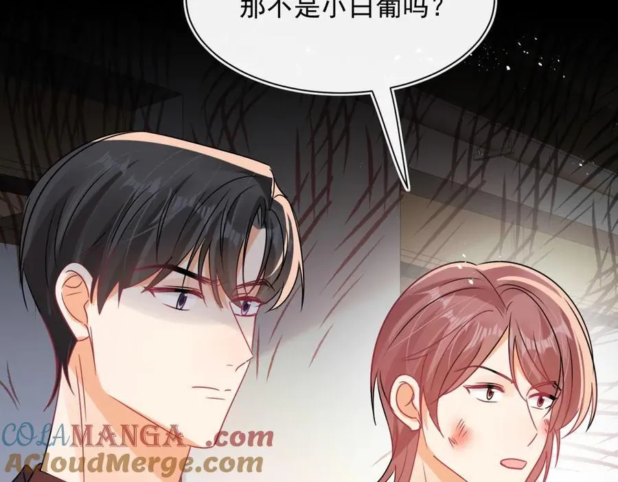 第104话 他的软肋45