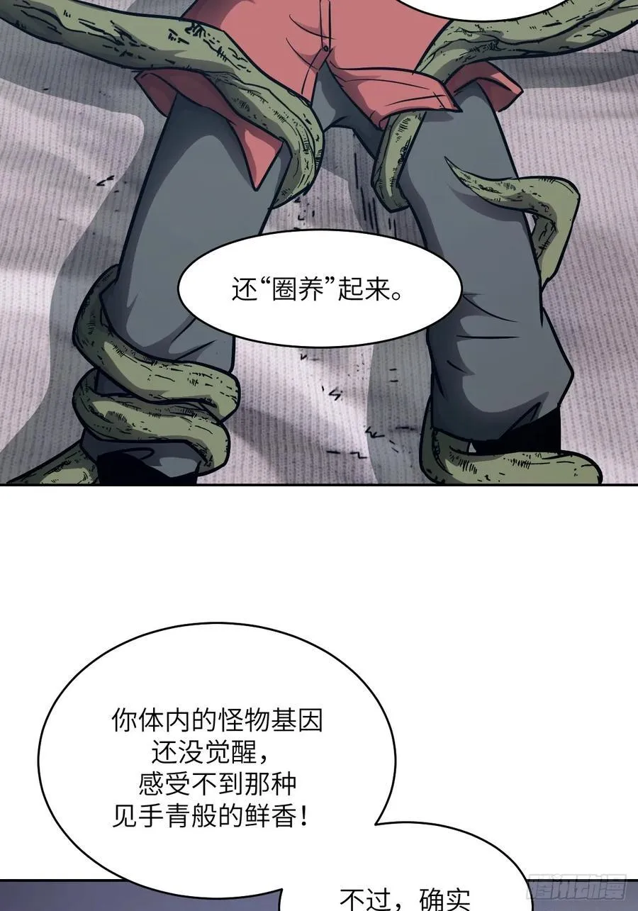 086 50%磁星1