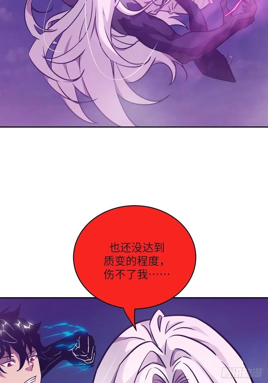 088 大白鲨55