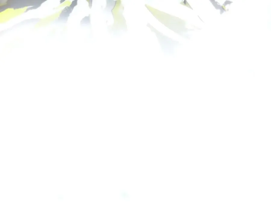 第46话 守护95