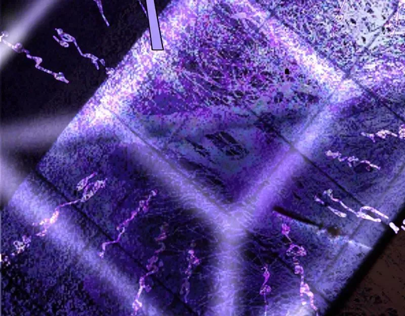 43 罪孽之爱150