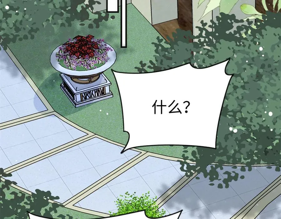 128 白九思归来51