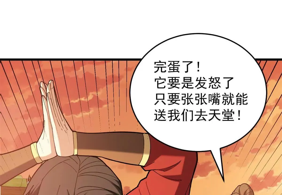117 飞龙86