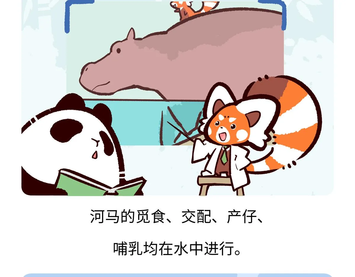 第242话22