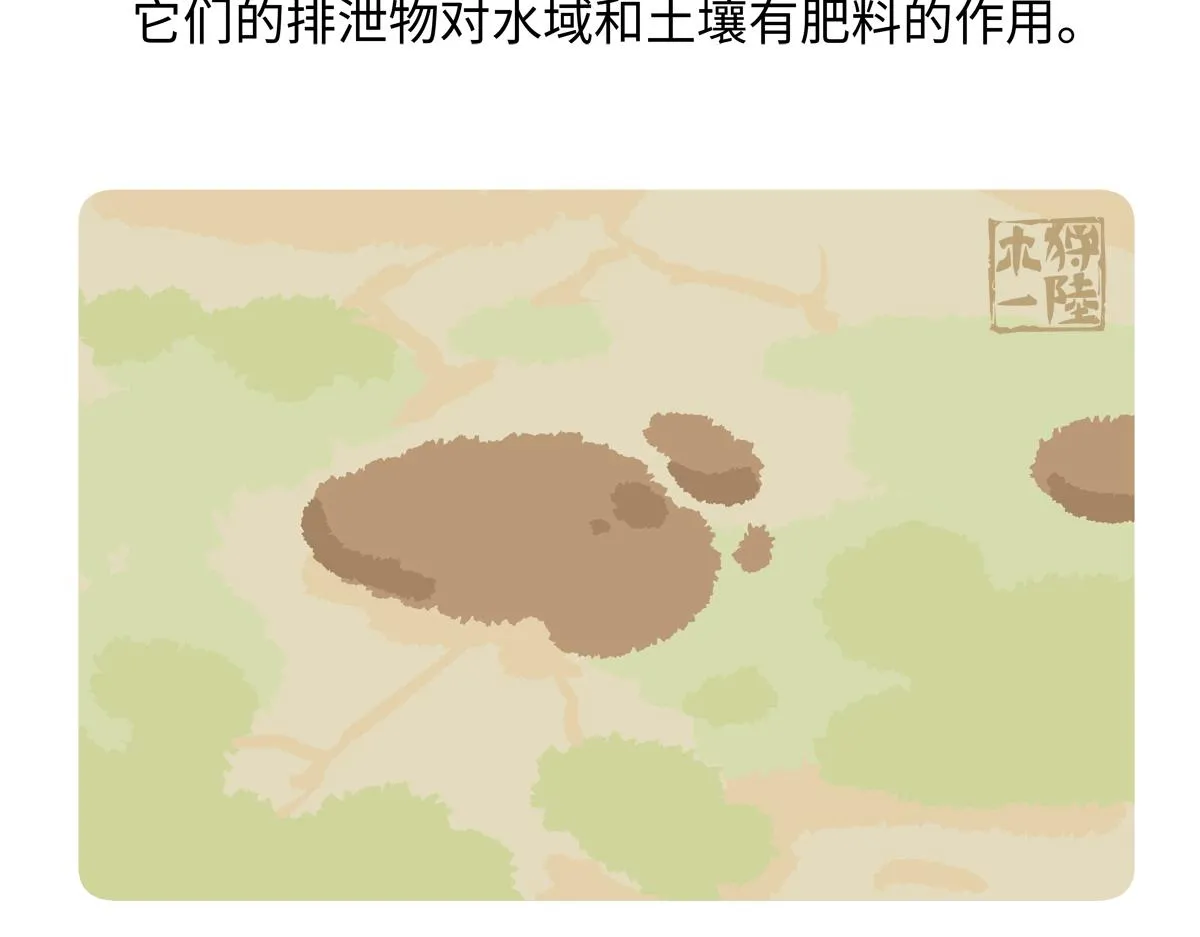 第243话21