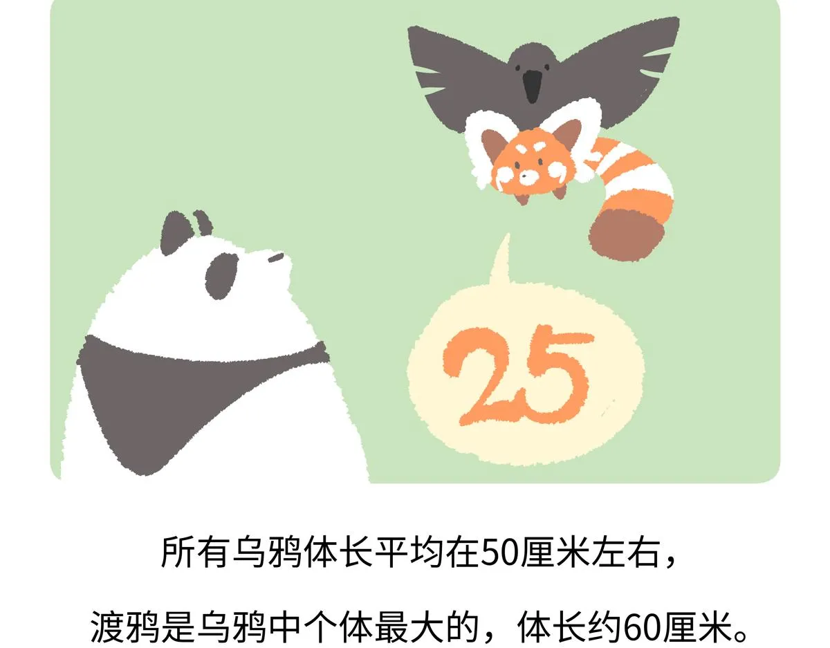 第244话20