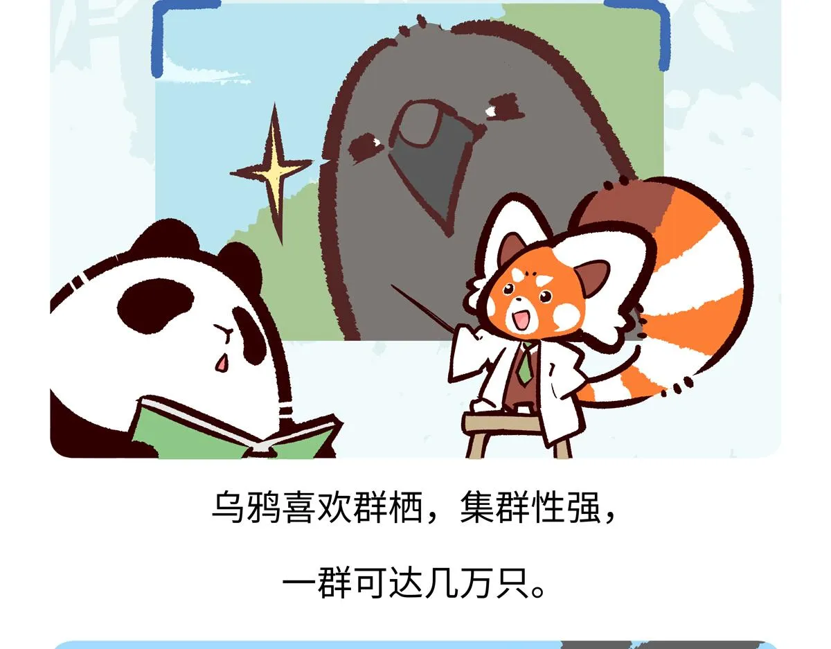 第244话26