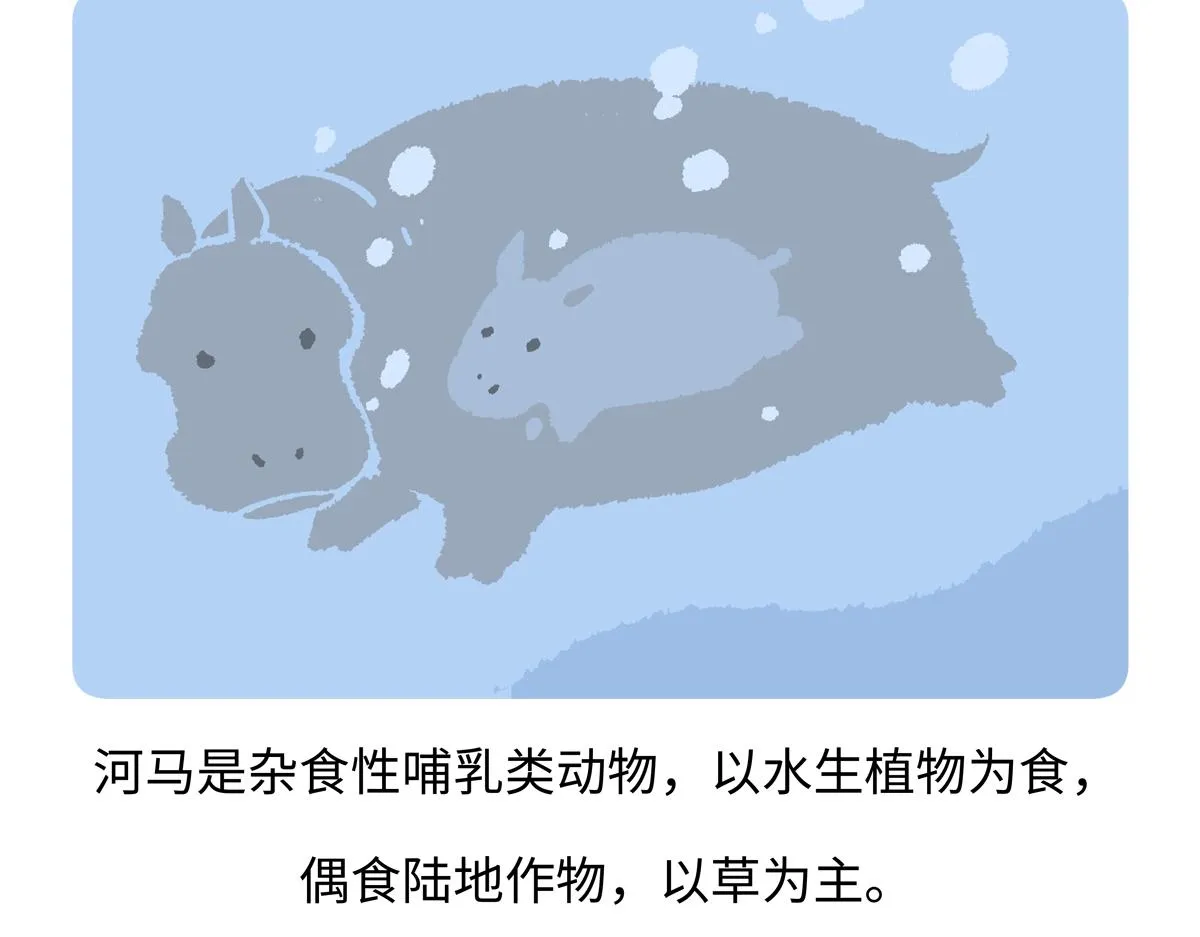 第242话23
