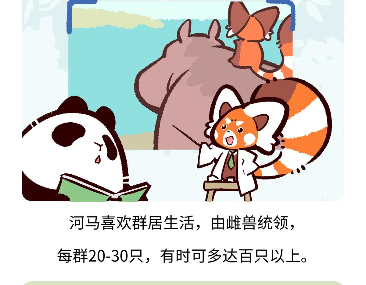 第242话16