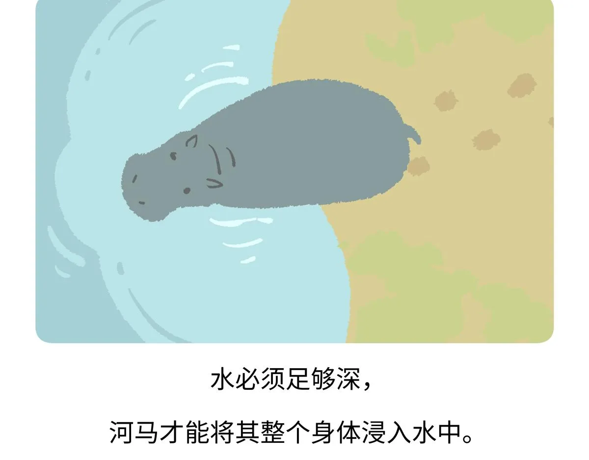 第241话17