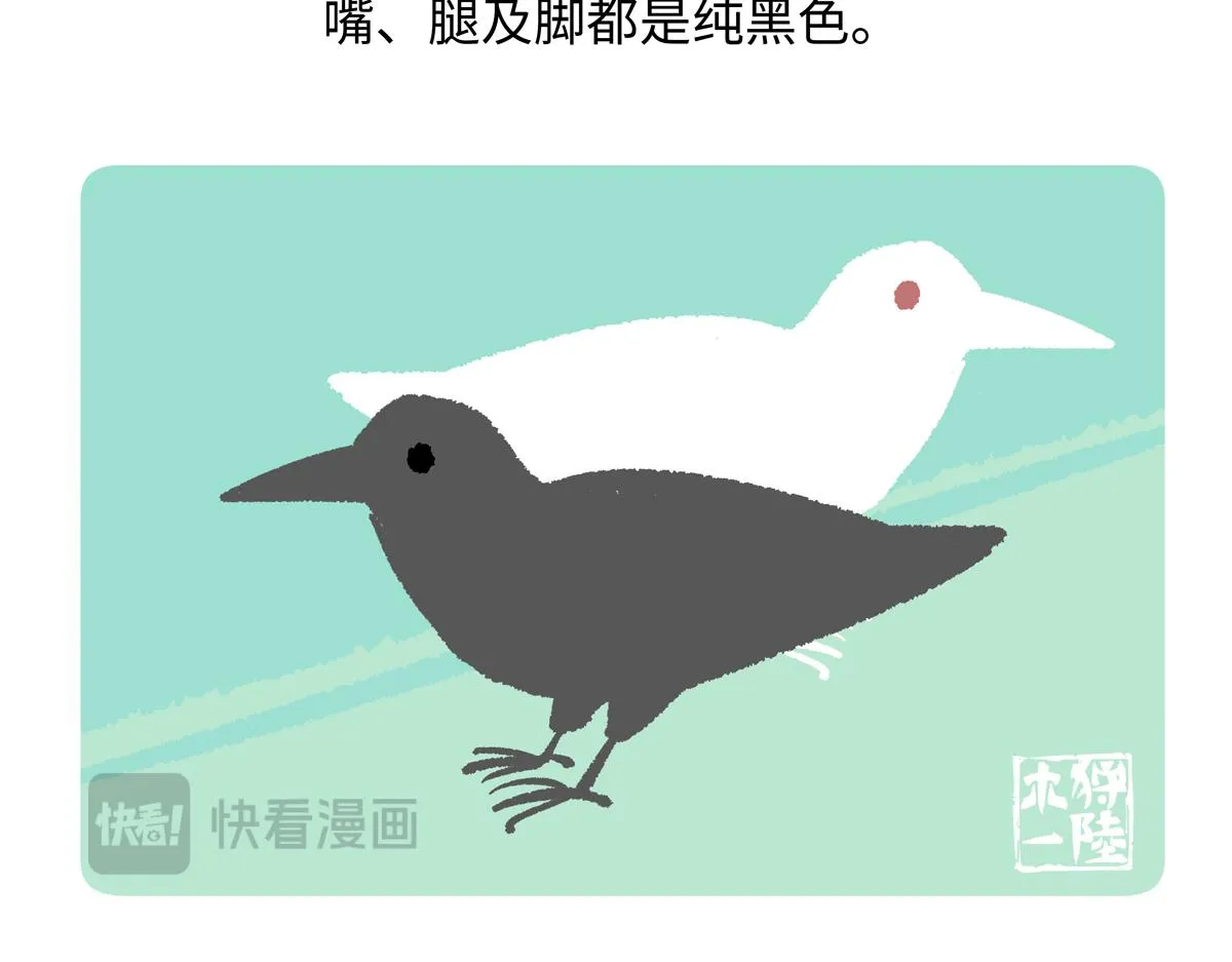 第244话23