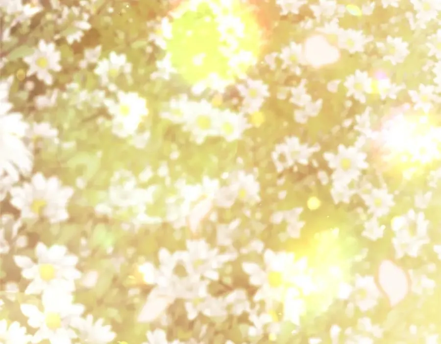 第109话 求婚282