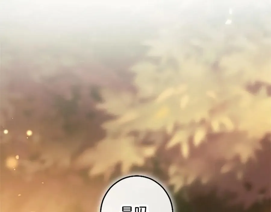 第110话 新婚快乐242